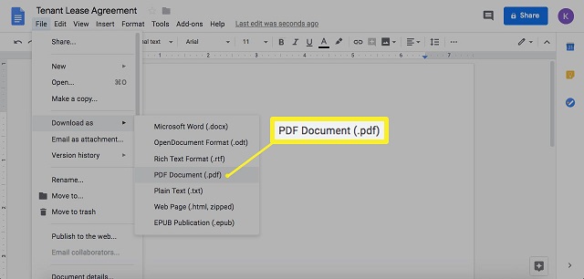 Google Docs to PDF Format
